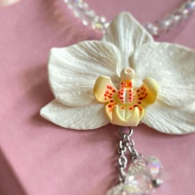 13a Collezione Orchidea